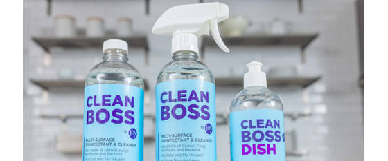 CleanBoss